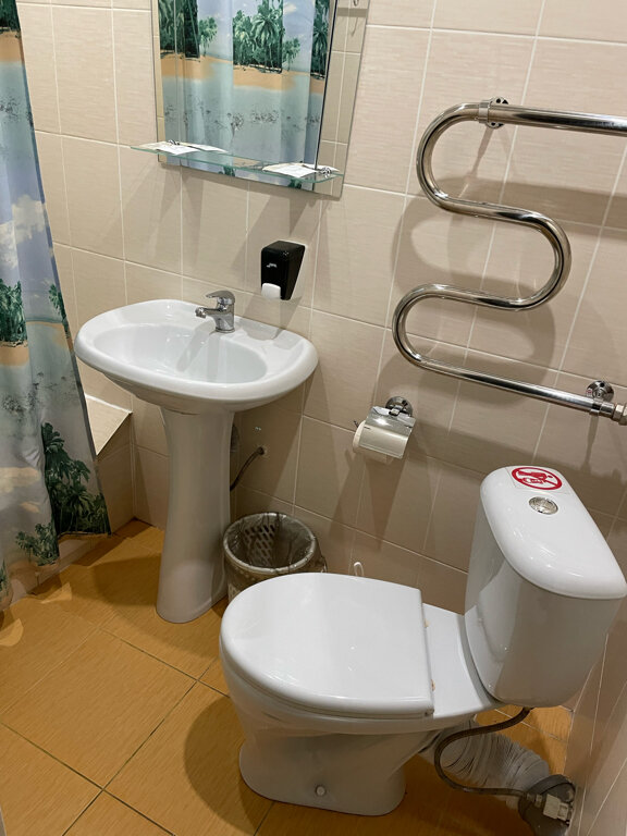 Гостиница Ольгинская Псков-147