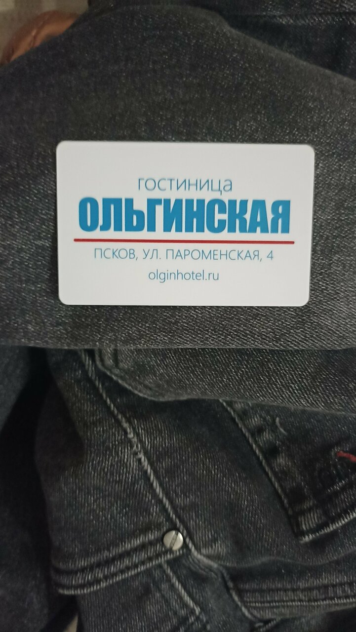 Гостиница Ольгинская Псков-116