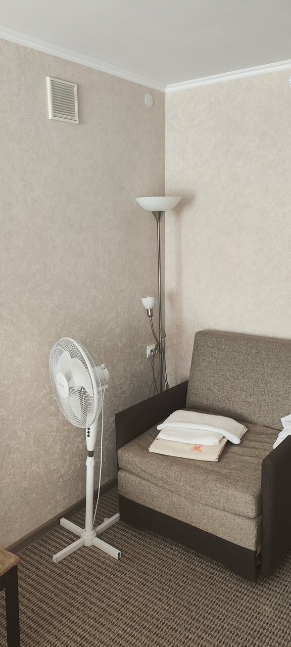 Гостиница Ольгинская Псков-250