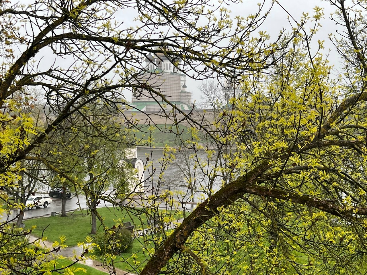 Гостиница Ольгинская Псков-100