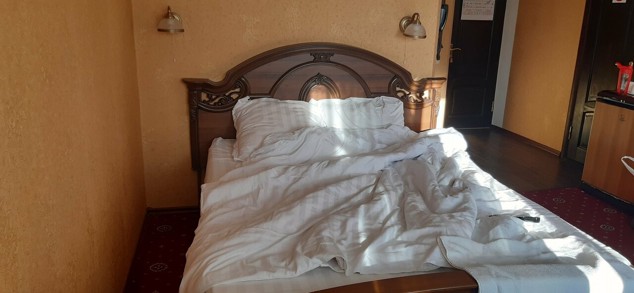 Гостиница Ольгинская Псков-131