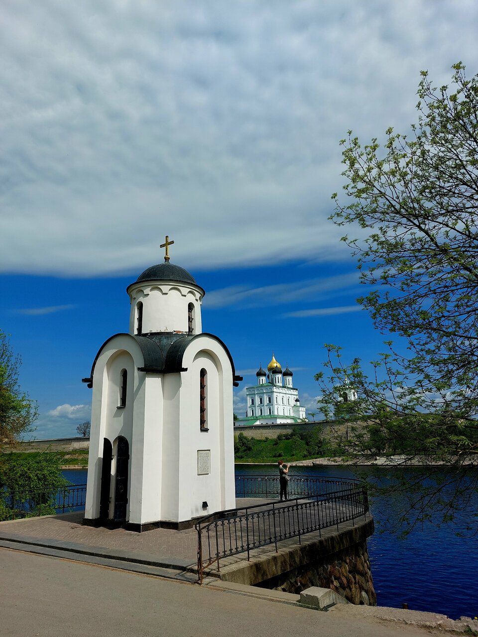 Гостиница Ольгинская Псков-236