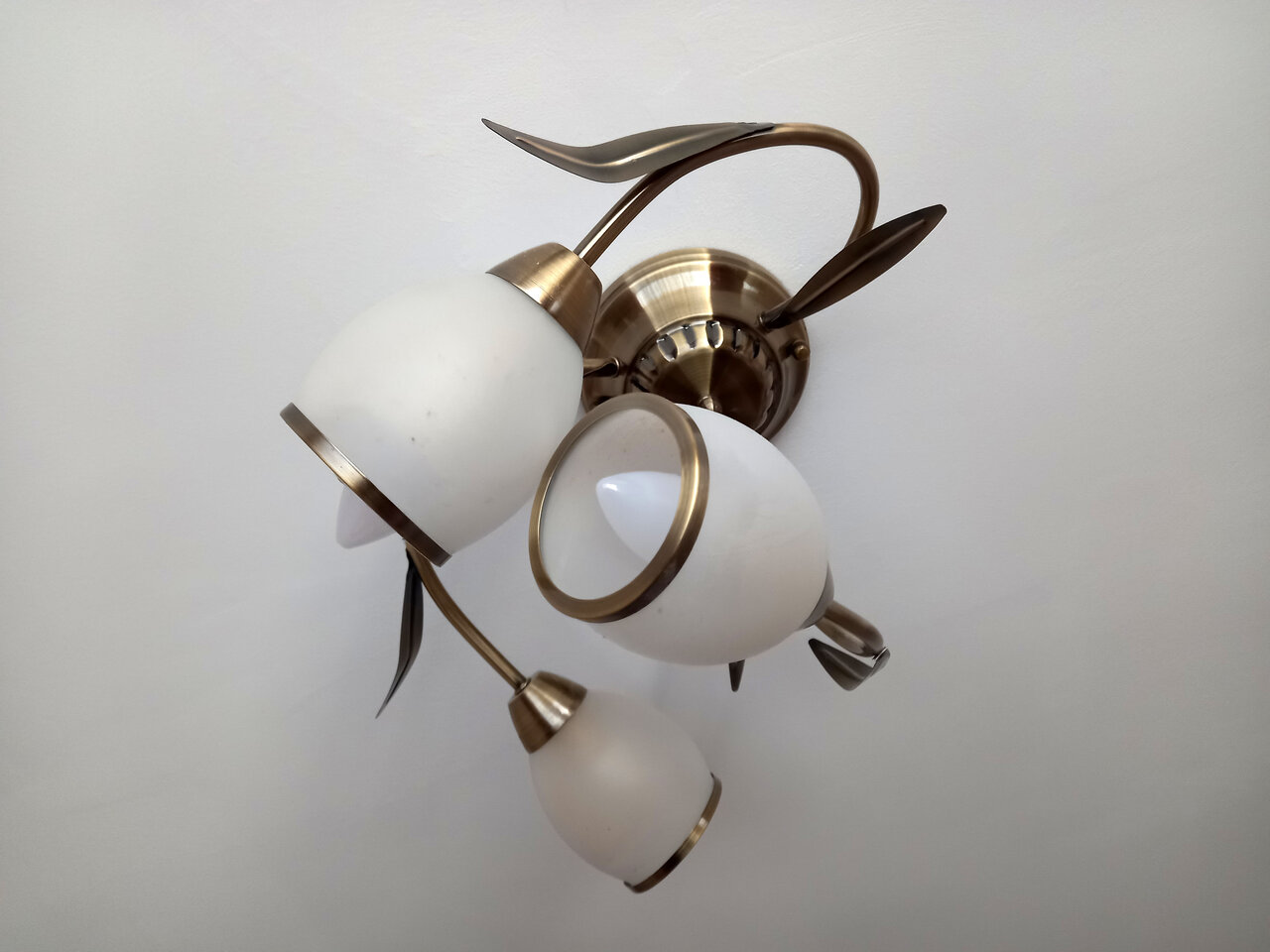 Гостиница Ольгинская Псков-159