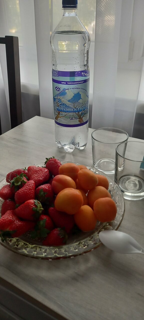 Гостиница Ольгинская Псков-126