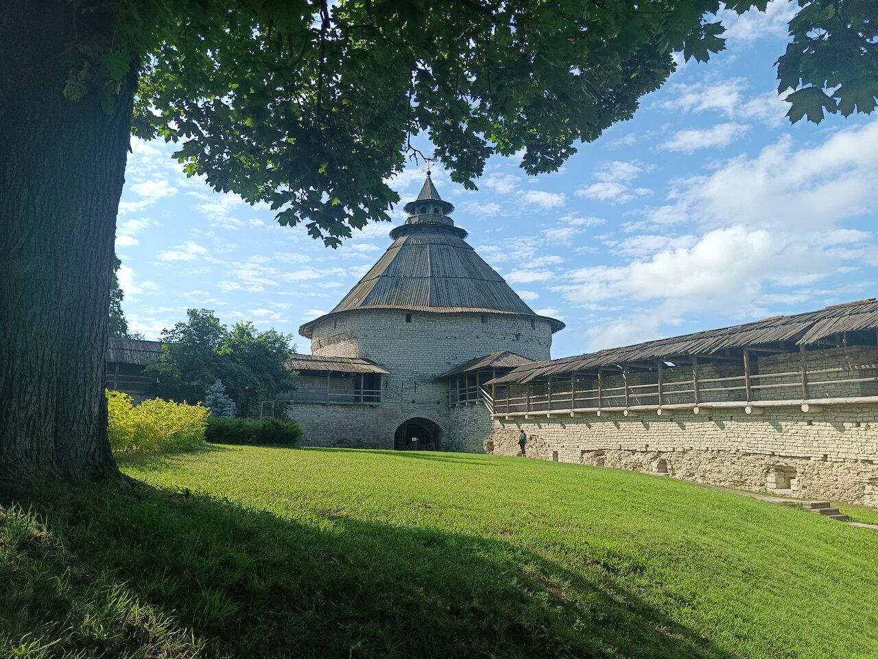 Гостиница Ольгинская Псков-108