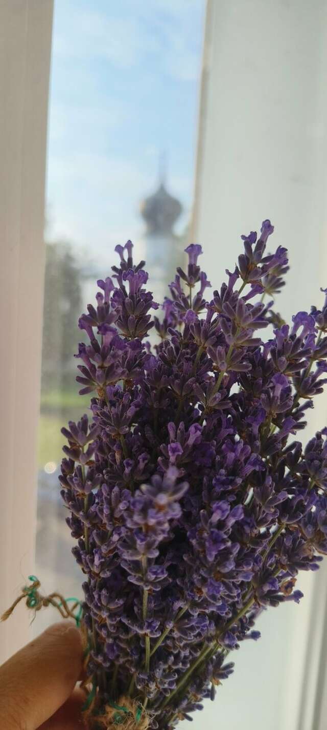 Гостиница Ольгинская Псков-135