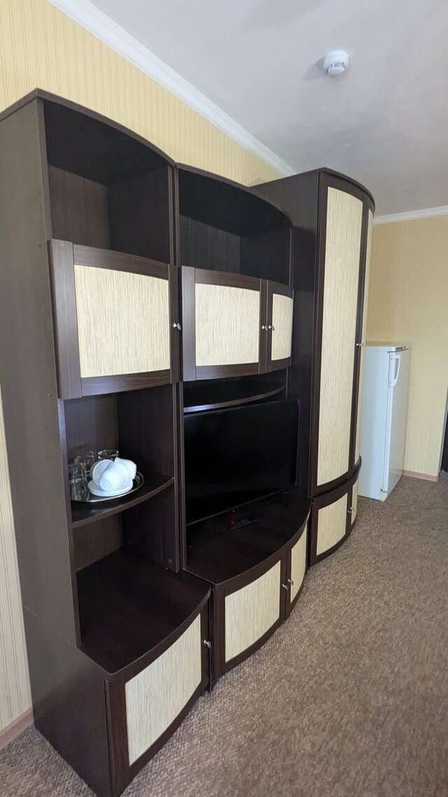 Гостиница Ольгинская Псков-199