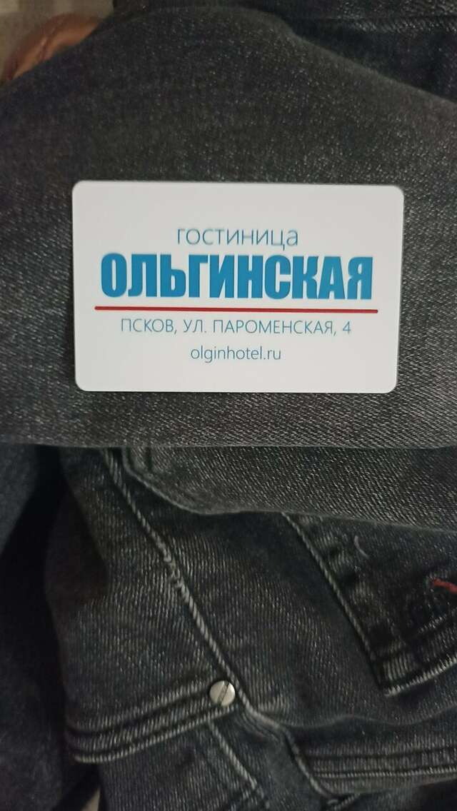 Гостиница Ольгинская Псков-115