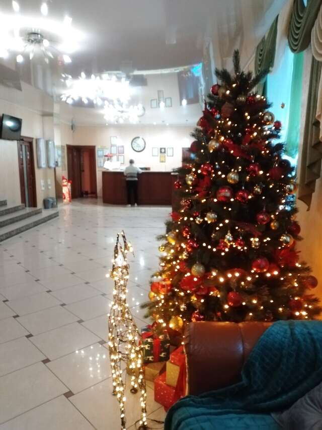 Гостиница Ольгинская Псков-227