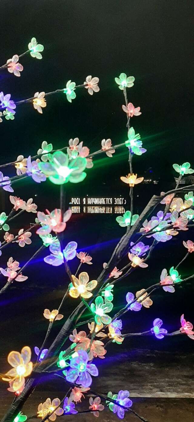 Гостиница Ольгинская Псков-127