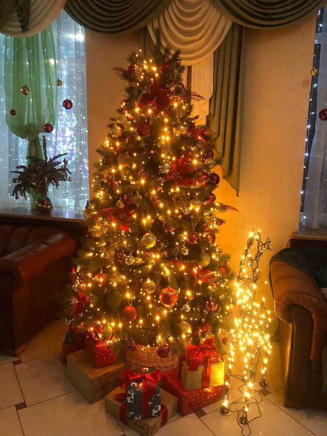 Гостиница Ольгинская Псков-88