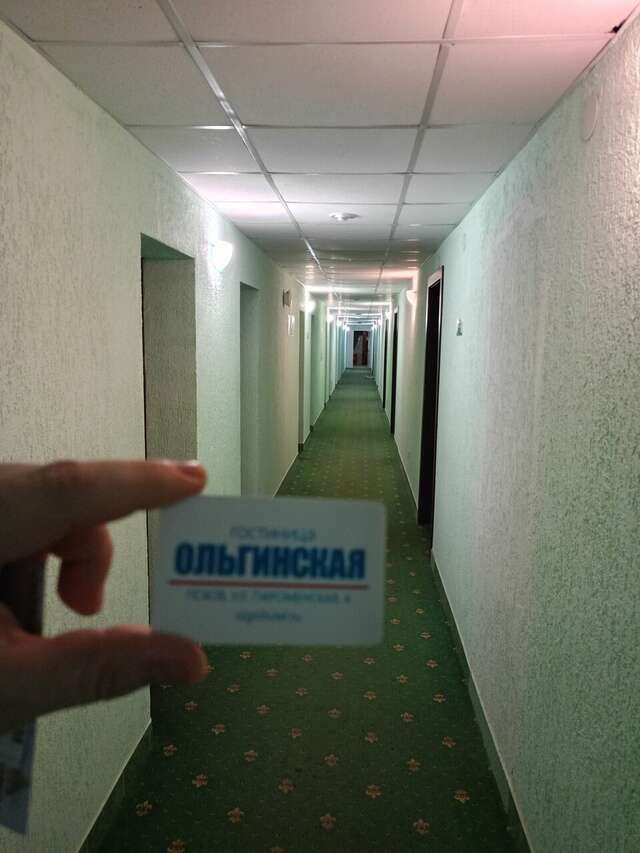 Гостиница Ольгинская Псков-144