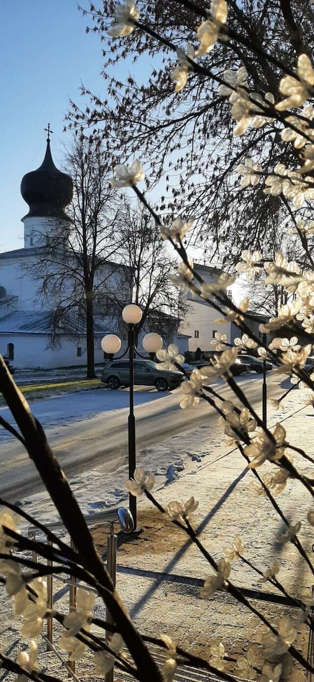 Гостиница Ольгинская Псков-175