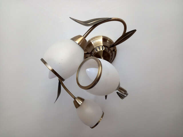 Гостиница Ольгинская Псков-158