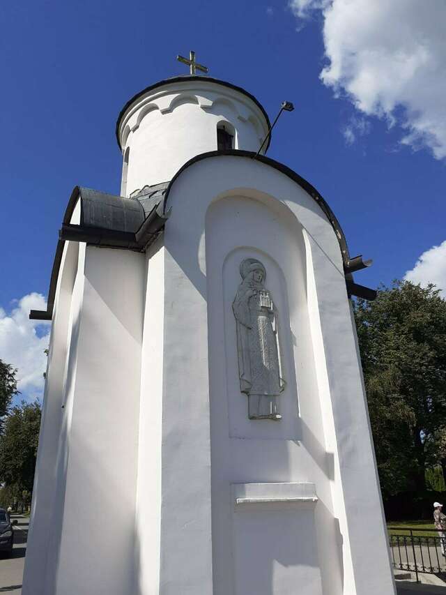 Гостиница Ольгинская Псков-224