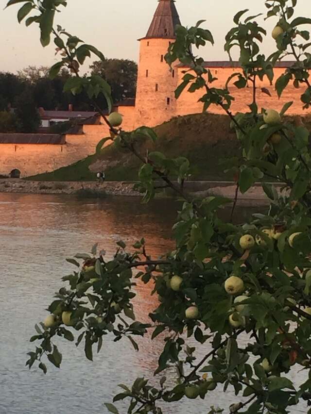 Гостиница Ольгинская Псков-119