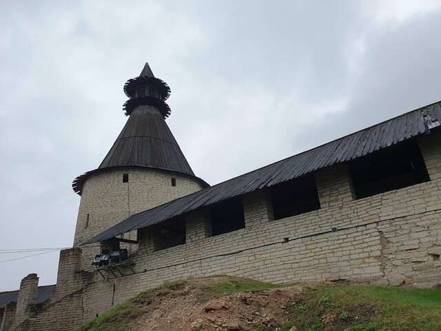 Гостиница Ольгинская Псков-252